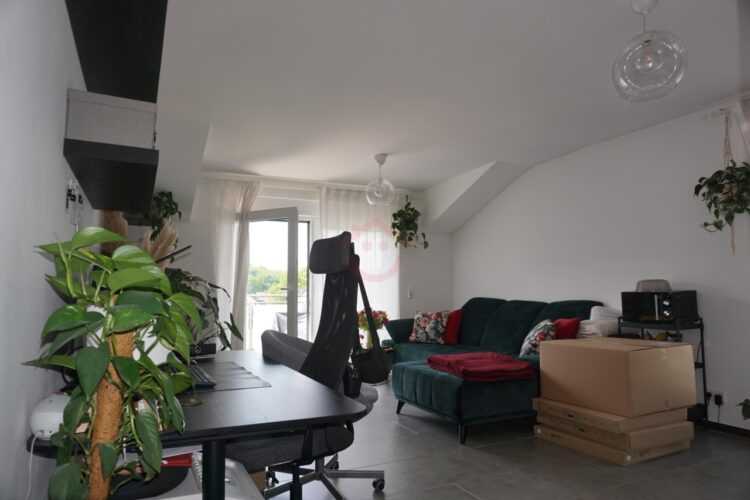 Wohnzimmer (1)
