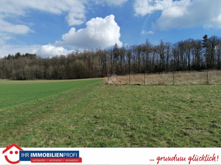 Bauplatz mit Feldrandlage