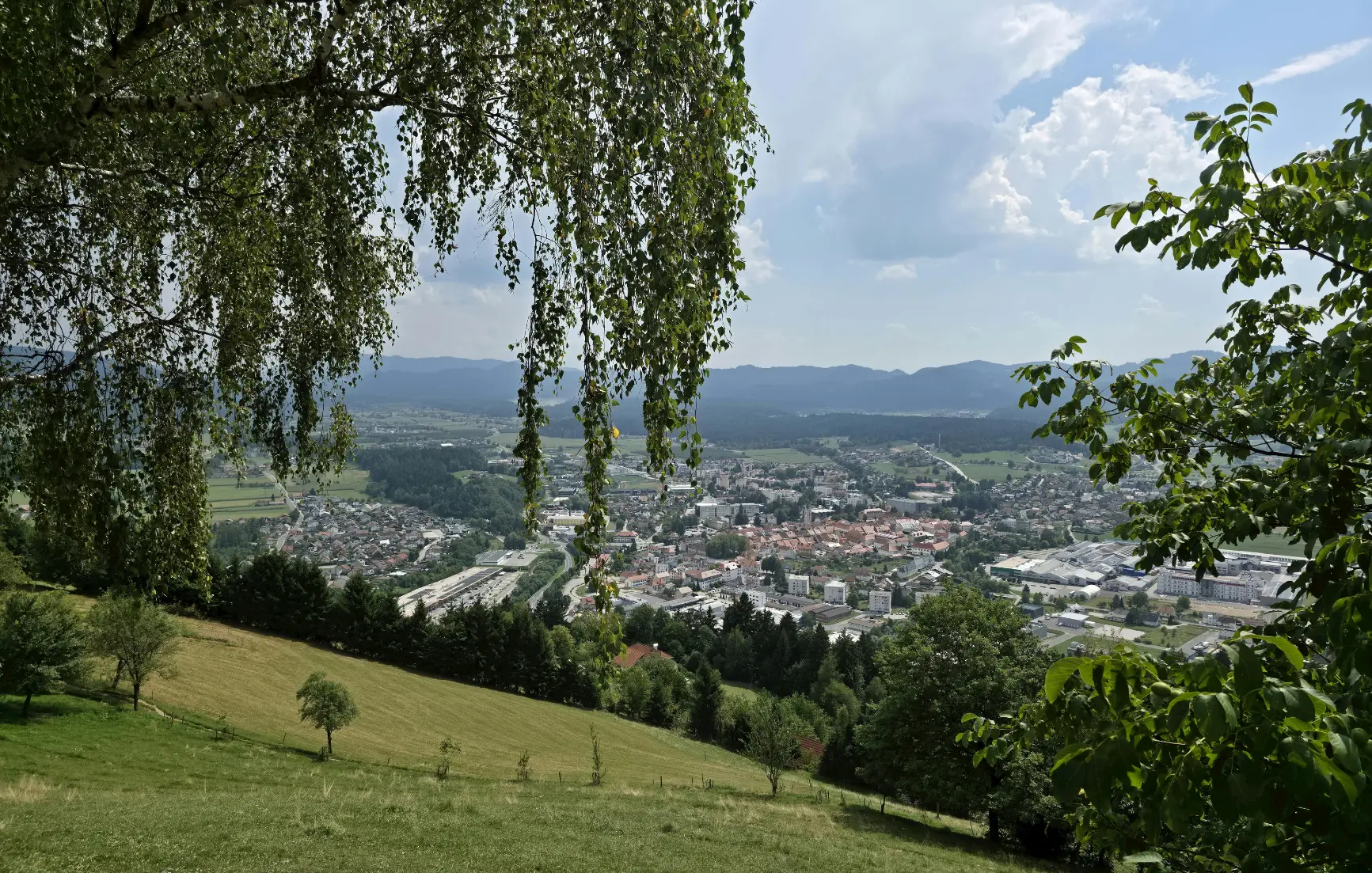 Linden