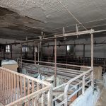 Schweinestall