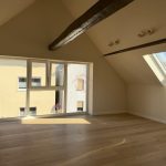 Zimmer DG Links