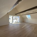 Zimmer DG Links (2)